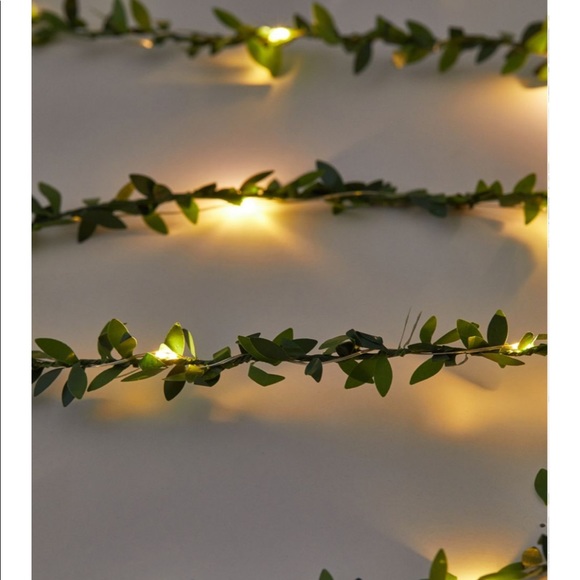 Vine String lights (NWOT) - Picture 5 of 6